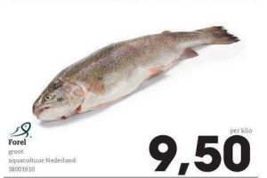 forel