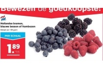 hollandse bramen blauwe bessen of frambozen