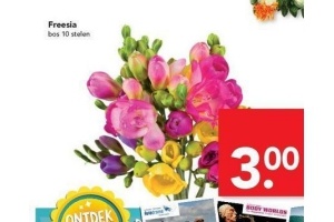 freesia