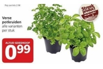 verse potkruiden