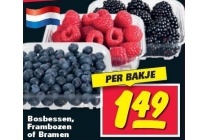 bosbessen frambozen of bramen