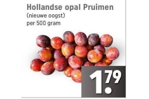 hollandse opal pruimen