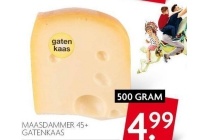 maasdammer 45 gatenkaas