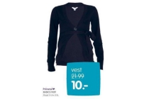 prenatal basics vest