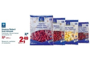 horeca select fruit kilozak