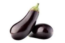 aubergine