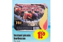 instant picnic barbecue