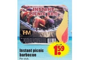 instant picnic barbecue