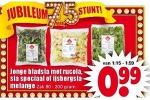 jonge bladsla met rucola sla speciaal of ijsbergsla melange