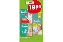 pampers luiers