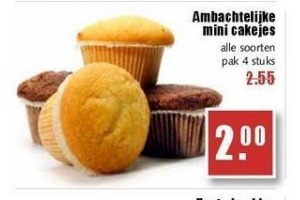 ambachtelijke mini cakejes