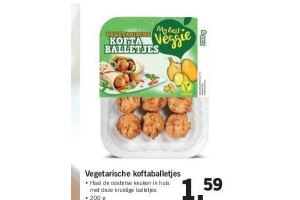 vegatarische kofta balletjes