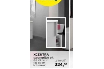 xcentra steengrijze eik