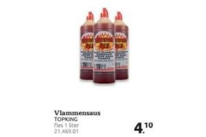vlammensaus