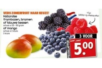 vers zomerfruit naar keuze