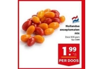 hollandse snoeptomaten mix