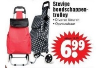 stevige boodschappentrolley