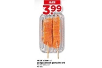 plus zalm pangaspiesen gemarineerd