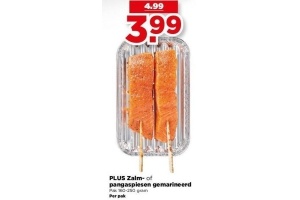 plus zalm pangaspiesen gemarineerd