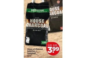 house of charcoal briketten houtskool