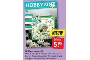 hobbyzine plus 19