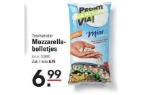 trevisanalat mozzarella bolletjes