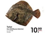 tarbot