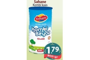 sahane kombi kaas