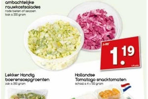 ambachtelijke rauwkostsalade