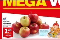 hollandse elstar appels