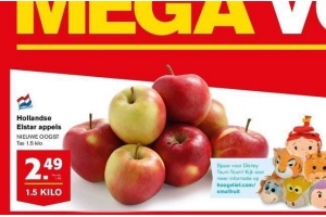 hollandse elstar appels