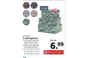 opbergbox karton