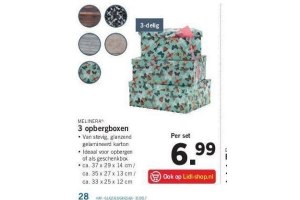 opbergbox karton