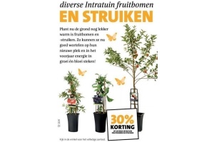 diverse intratuin fruitbomen en struiken