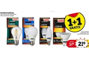 kruidvat ledlamp