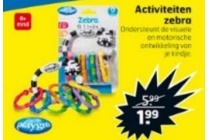 activiteiten zebra