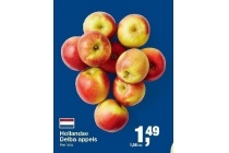 hollandse delba appels