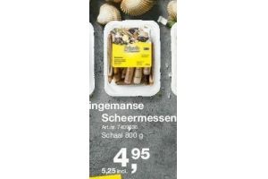 prins en dingemanse scheermessen