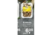 prins en dingemanse kokkels