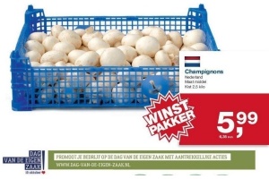 champignons