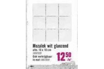 mozaiek wit glanzend