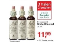 remedies van bach