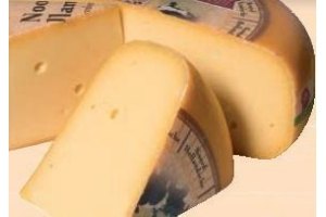 noord hollandsche 48 stuk kaas