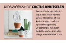 kidsworkshop cactus knutselen