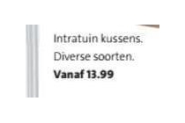 intratuin kussens