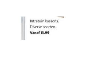 intratuin kussens