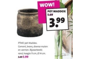 ptmd pot maddox