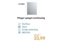 plieger spiegel rechthoekig