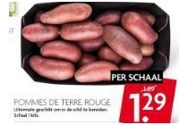 pommes de terre rouge