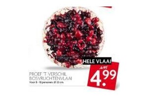 proef t verschil bosvruchtenvlaai